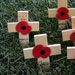 Remembrance Day poppies