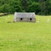 Barn