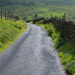 Wet road