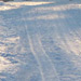 Snowy lane