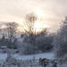 Snowy scene