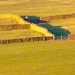 Hilly scene